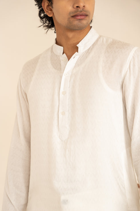 Aloe Vera Regular Fir Full Sleeves Kurta